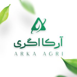 آهن بیوسترن 138 مانورت اسپانیا
