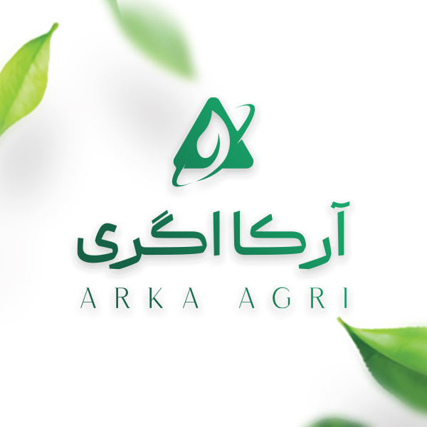آهن بیوسترن 138 مانورت اسپانیا